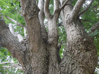 DSC04345.JPG