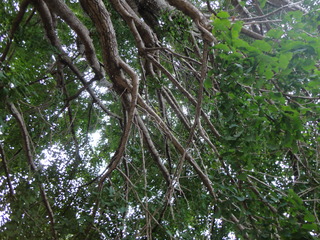 DSC04346.JPG