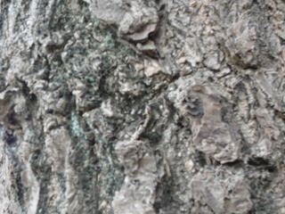 DSC04351.JPG