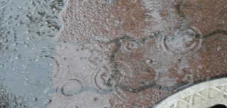 DSC04358-1.jpg