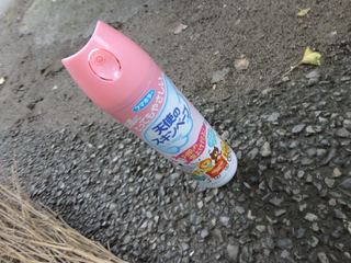 DSC04408.JPG