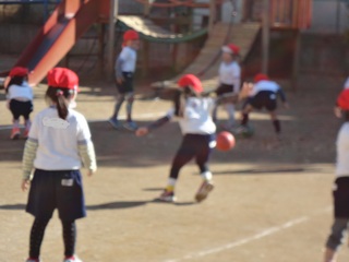 DSC07198-1.jpg