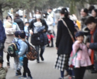 DSC08630-1.jpg