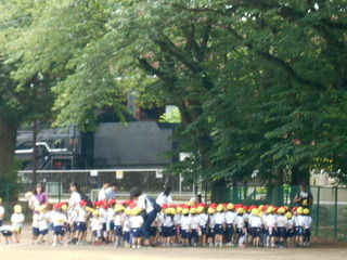 薬円台公園遠足.jpg