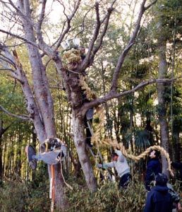 辻切中野木.jpg