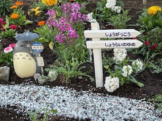 IMG_0802.jpg