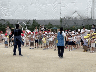 Lively-187.gif