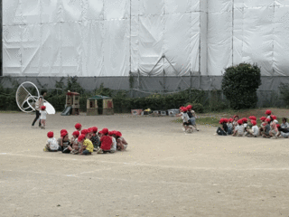 Lively-188.gif