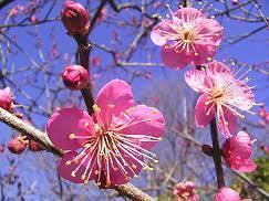 yjimage83CXQKRK.jpg